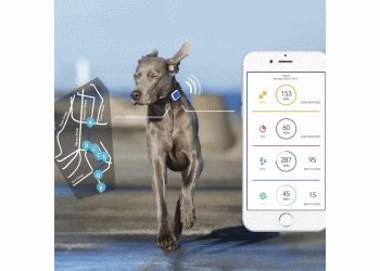 Pet GPS Tracker Miami Coral Gables